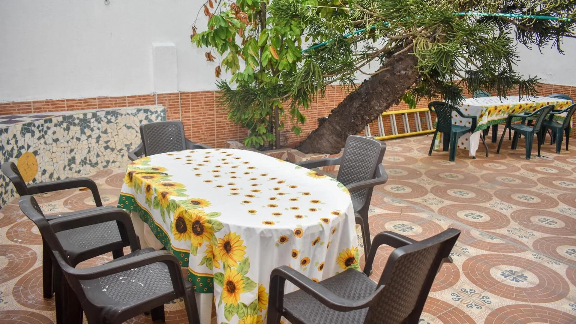 Habitaciones Privadas En El Emblematico Barrio De Manga Cartagena Kolumbie
